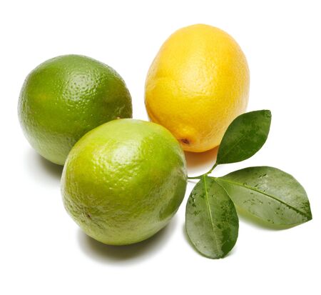 lemon, lime and leaf isolatedの写真素材