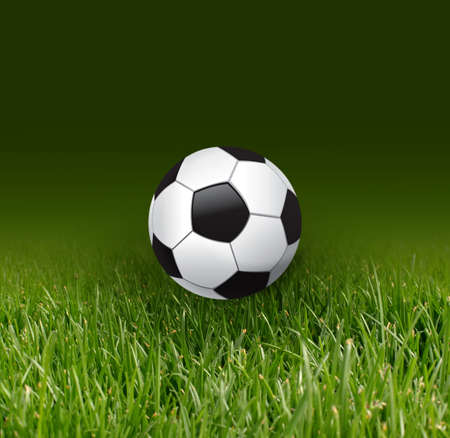 soccer football and green grassの写真素材