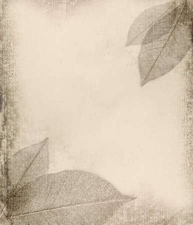 grunge background with leafの写真素材