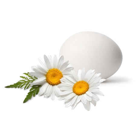egg and flowerの写真素材