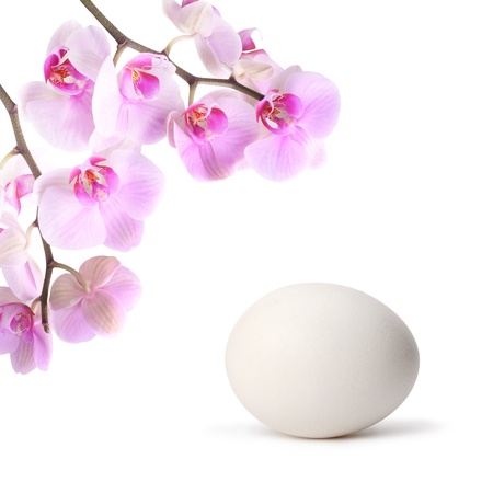 egg with flower の写真素材