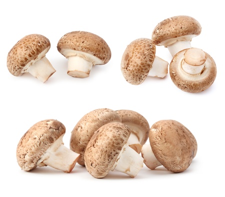 champignon mushroomの写真素材