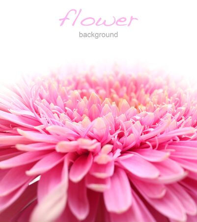 flowerの写真素材