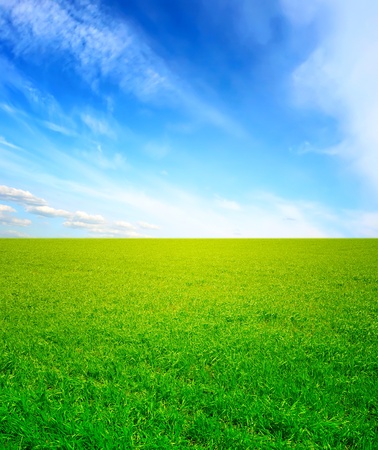 summer landscapeの写真素材