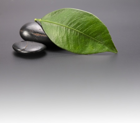 stones with leafの写真素材