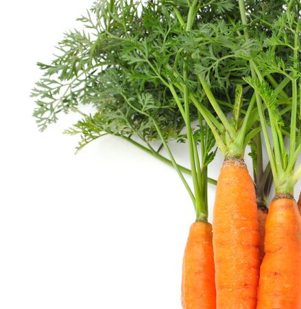carrots with green leaves on whiteの写真素材