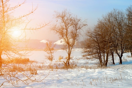 Winter landscapeの写真素材