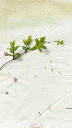 grunge paper background