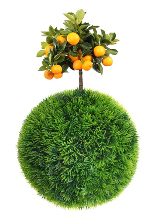 grass sphere and treeの写真素材