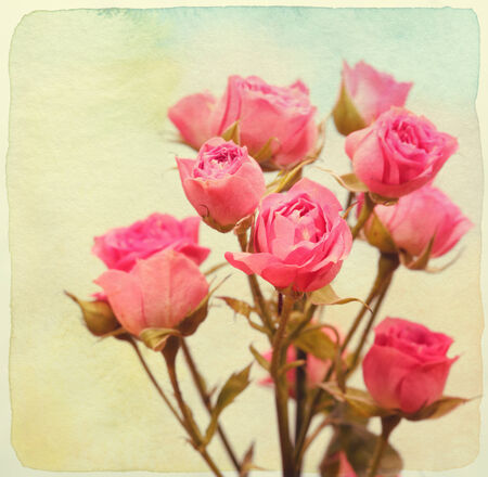 Roses bouquet. Vintage retro style. Paper watercolor textured.の写真素材
