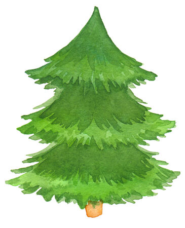 Watercolor hand painted Christmas tree. Texture paper.の写真素材