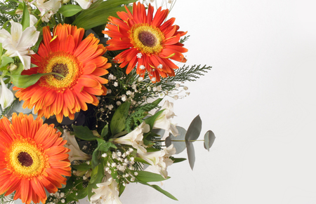 Flower bouquet on gray backgroundの写真素材