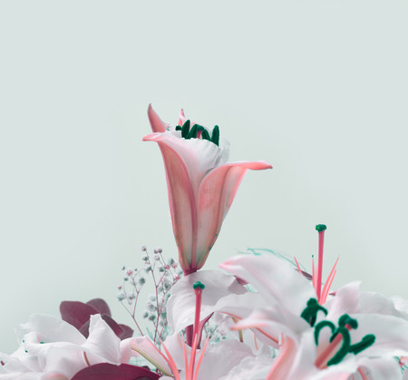 Flower bouquet background. Lily on gray.