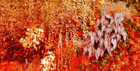 Wall with tropical plants. Nature red background.