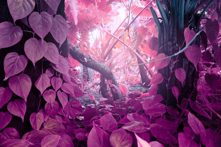 Tropical jungle fabulous forest with plants. Nature green background.