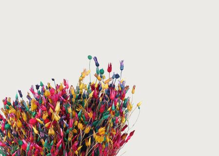 Dry flowers and grass. Abstract bright color background.
