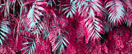 Wall with tropical plants.