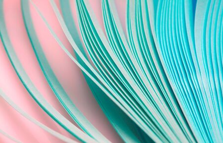 Abstract green, pink tone color wave curl strip paper