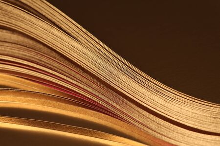 Soft focus Abstract backgound. Gold (bronze) paper wave on black.