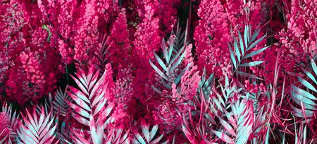 Wall with tropical plants. Nature red background.の写真素材