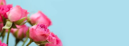 Pink Rose bouquet. Vintage retro style. Horizontal long  posters, greeting cards, web site, banner, invitation.の写真素材