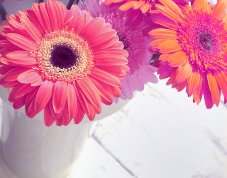 Flower gerbera bouquet on wood background. の写真素材