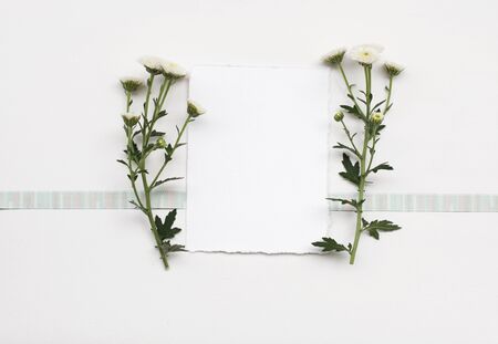 Paper frame with flower on white texture background. Flat lay. Greeting card.の写真素材
