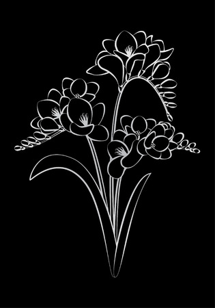 Black and white vector image of freesiaのイラスト素材