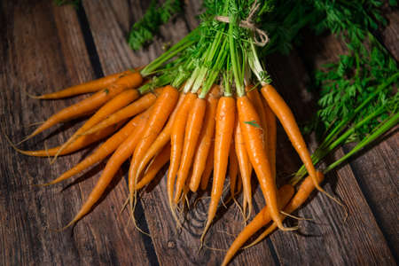 A bunch of young orange carrots with tops, on a wooden table close-up.の写真素材