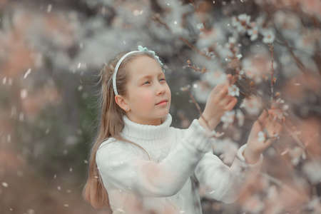 Spring portrait of a girl in flowering almond trees. A girl looks at a blooming tree branchの写真素材