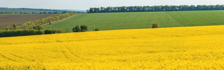 fertile agricultural fields for sowing and growing cropsの写真素材