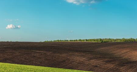 fertile agricultural fields for sowing and growing cropsの写真素材