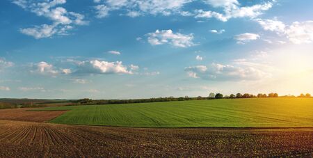 fertile agricultural fields for sowing and growing cropsの写真素材