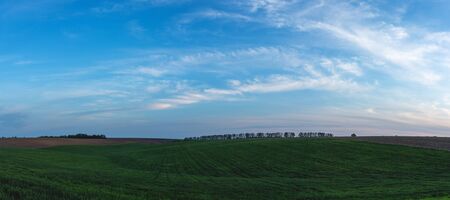 fertile agricultural fields for sowing and growing cropsの写真素材