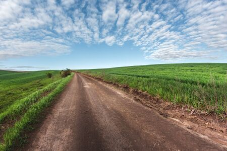 fertile agricultural fields for sowing and growing cropsの写真素材