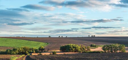 fertile agricultural fields for sowing and growing cropsの写真素材