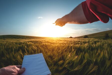 Young agronomist takes notes in a first-person notebook on a green agricultural field during sunset