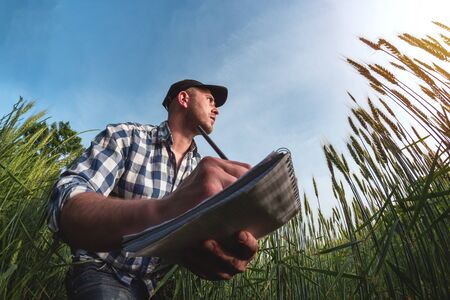male agronomist in cap takes notes in a notebook on a green agricultural field of wheat