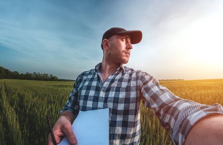 male agronomist in cap takes notes in a notebook on a green agricultural field of wheatの写真素材