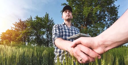 male agronomist in cap takes notes in a notebook on a green agricultural field of wheatの写真素材