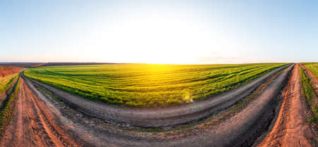Panorama of a hilly wheat field. Young grass on agricultural landの写真素材