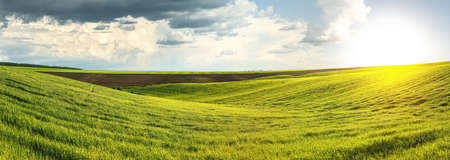 panoramic view of plowed field and a field of winter wheat in the hilly terrain with cloudly sky of Ukraineの写真素材