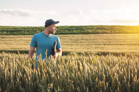 Farmer agronomist in a wheat field. Man with folder and phone in an agricultural field