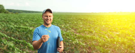 A farmer holds sunflower seedlings in his hands, selective focus.Agronomist farmer in an...