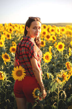 A young girl in a field of sunflowers at sunset. Portrait of a woman with a slim figure on a background of yellow flowersの写真素材