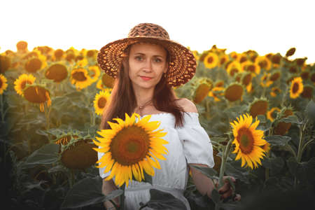 A young girl in a white dress and hat in a field of sunflowers at sunset. Portrait of a woman with a slim figure on a background of yellow flowersの写真素材