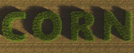 Inscription Corn from plants on an agricultural field. Corn plant 3D on soil background. Agriculture, business, technology.の写真素材