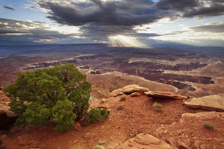 Grand View Point. Grand View Point overlook in Canyonlands National Park, Utah, USA.の写真素材