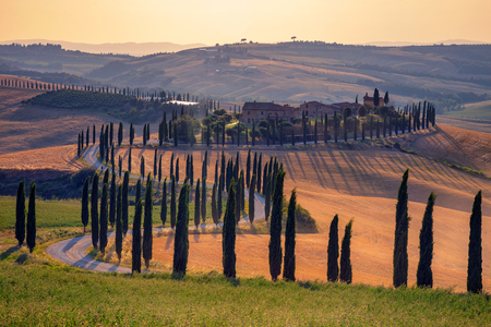 Tuscany. Image of Tuscany landscape during summer sunset.の写真素材
