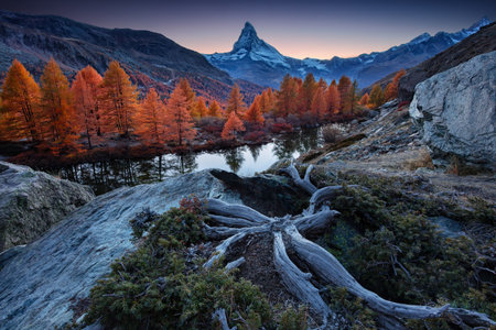 Matterhorn, Swiss Alps, Switzerland. Landscape image of Swiss Alps with Grindjisee and iconic peak Matterhorn in the background at beautiful autumn sunset.の写真素材